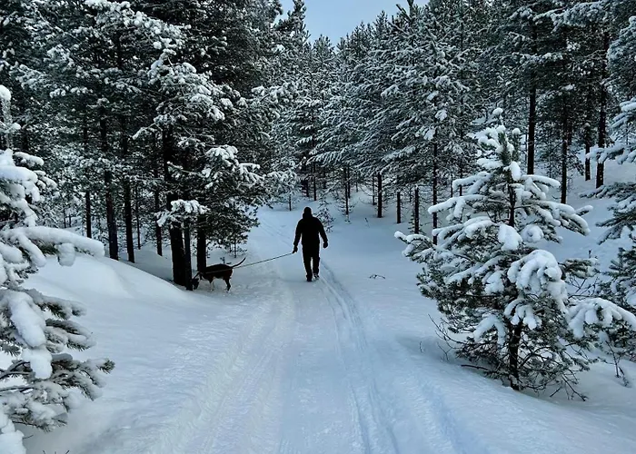 Lumekkaantie Otso-huoneistot Daire Vuokatti